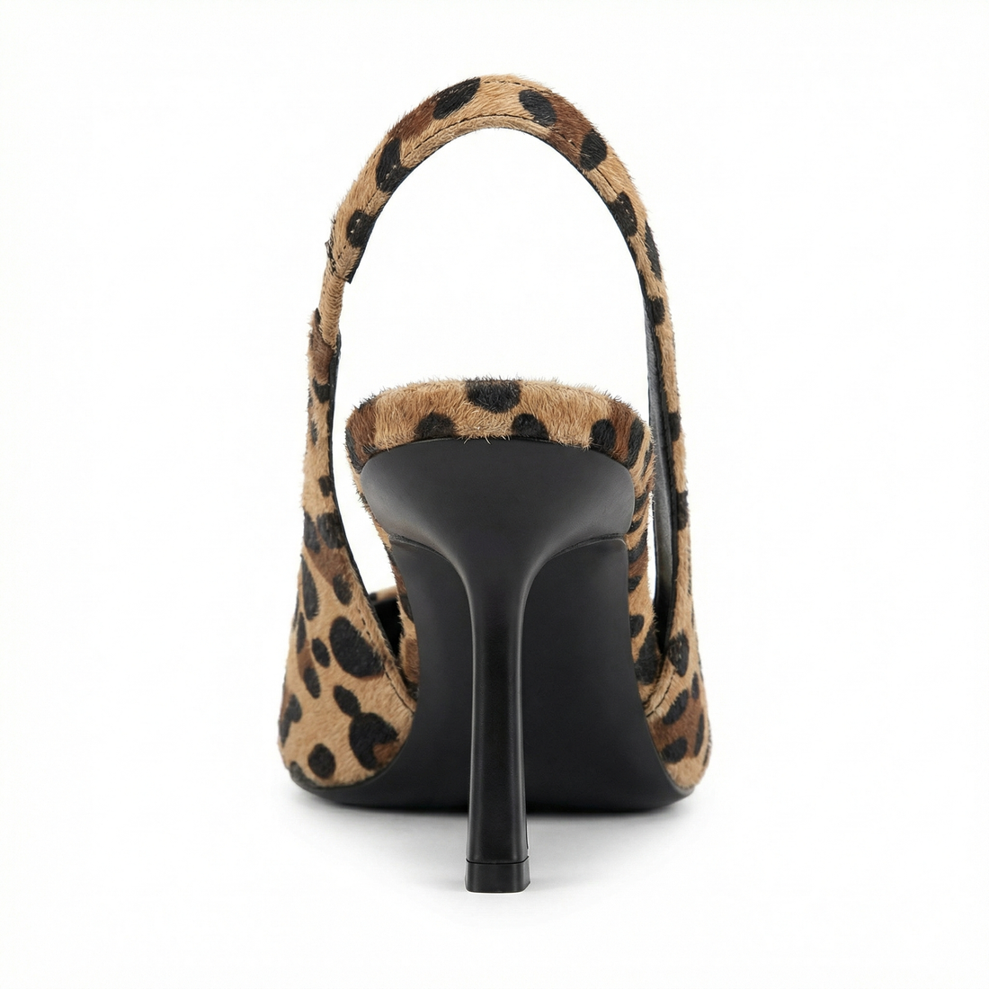 Women's Heels Pointed Toe